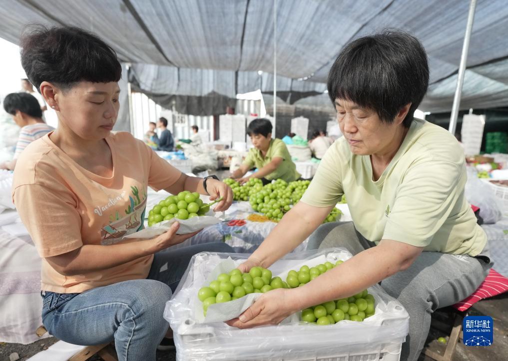 威尼斯首存28送38彩金